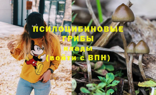 гашишное масло Ладушкин