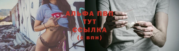 молекула духа Лабытнанги