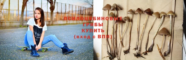 молекула духа Лабытнанги