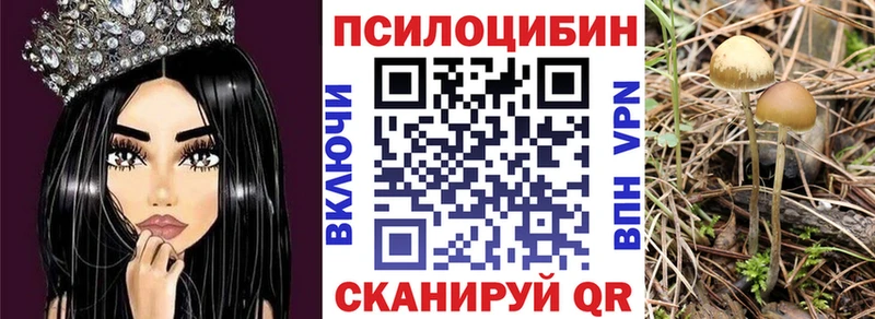 Псилоцибиновые грибы Psilocybe  Купить  Горнозаводск 